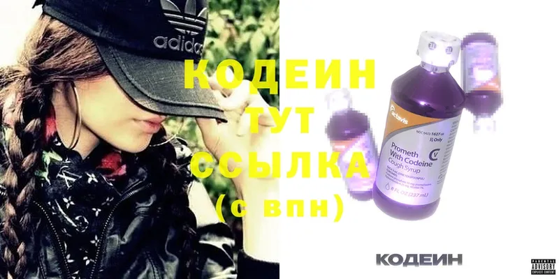 закладки  Ивдель  Кодеиновый сироп Lean Purple Drank 