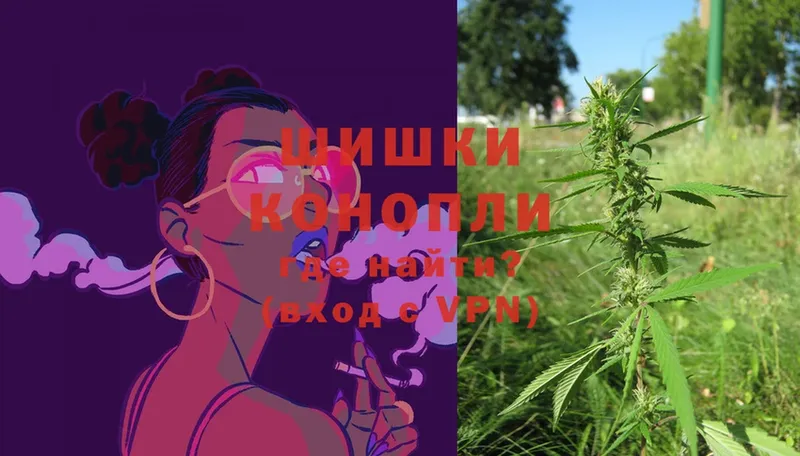 Бошки марихуана THC 21%  купить  сайты  OMG ССЫЛКА  Ивдель 